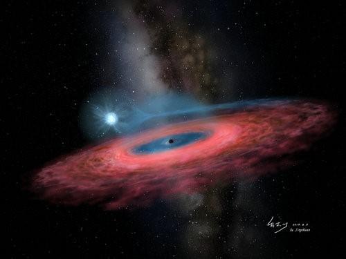 Unpredicted Stellar Black Hole Discovered