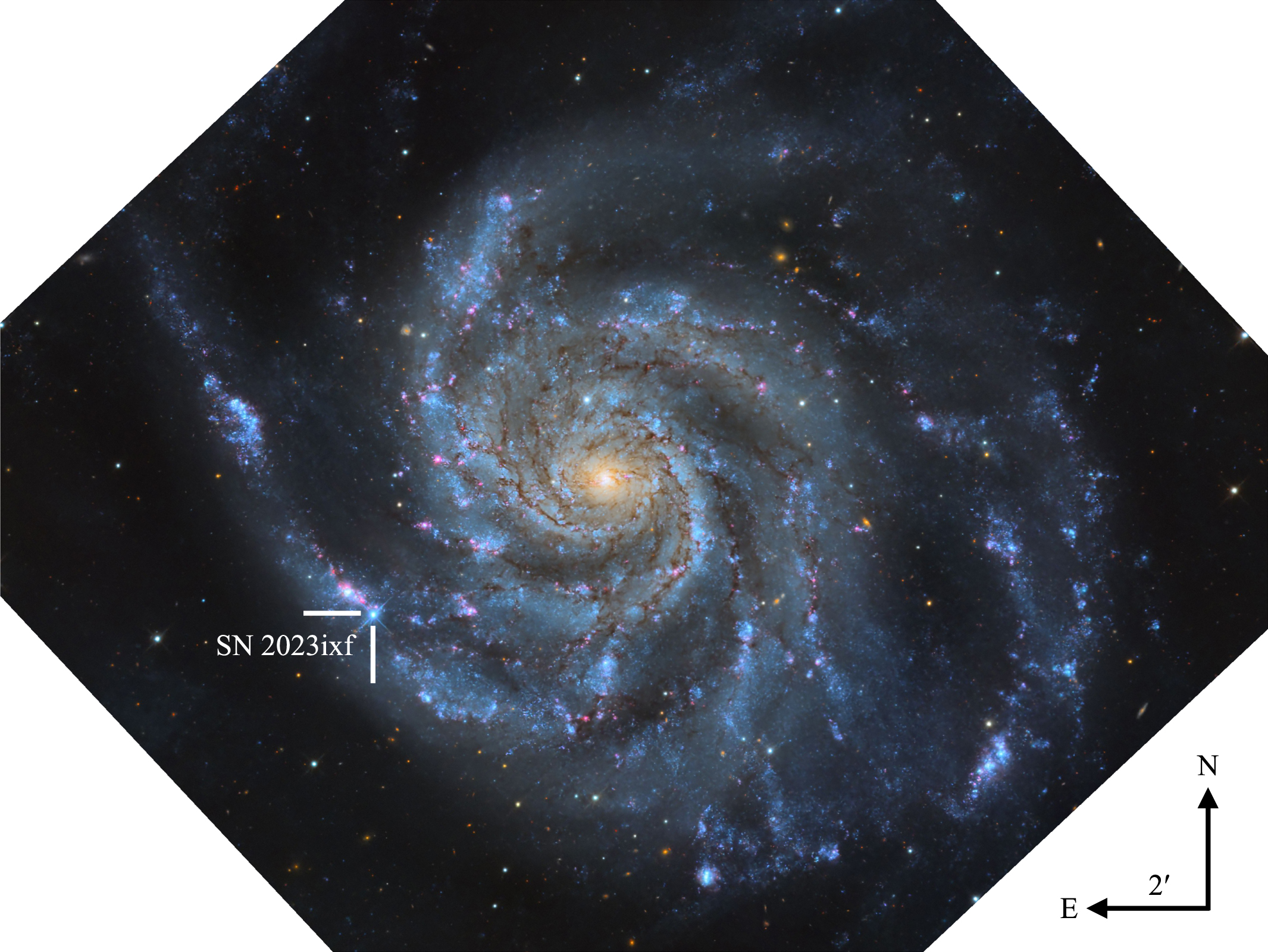 sn 2023ixf occurred in a spiral arm of the pinwheel galaxy near several star-forming regions. Credit: Travis Deyoe, Mount Lemmon SkyCenter, University of Arizona