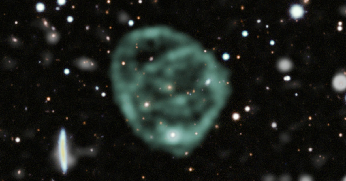 odd radio circles, like orc 1 pictured above, are large enough to contain galaxies in their centers and reach hundreds of thousands of light years across. Credit: Jayanne English/University of Manitoba